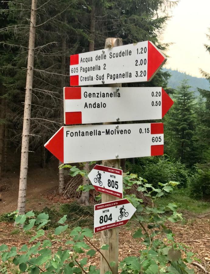 Apartmán Genzianella Molveno-Andalo Exteriér fotografie