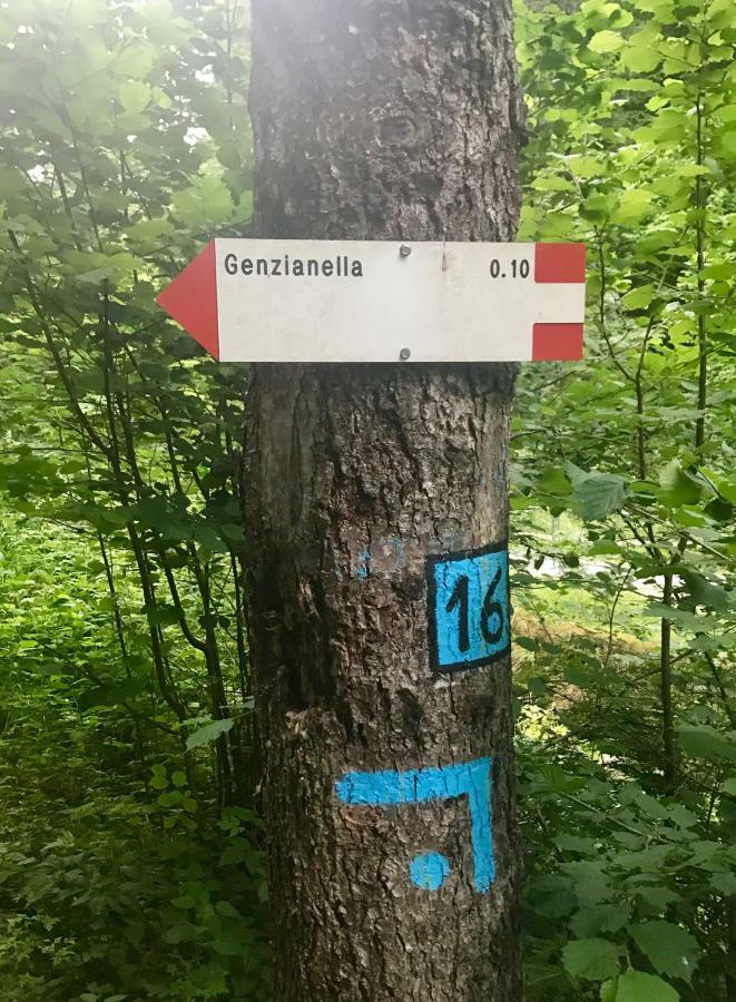 Apartmán Genzianella Molveno-Andalo Exteriér fotografie