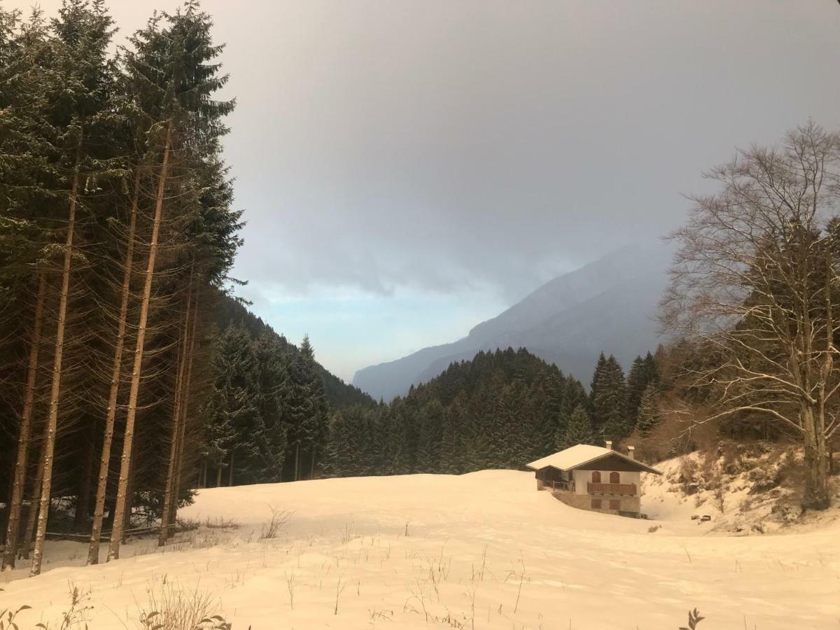 Apartmán Genzianella Molveno-Andalo Exteriér fotografie